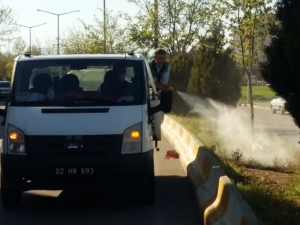 Adıyaman Belediyesi Yabani Otları İmha Ediyor