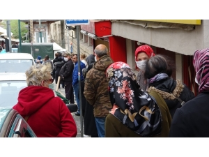 Kuyruğun Başı Var, Sonu Yok