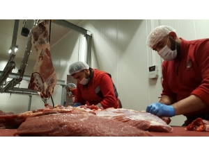 Köylülerden Örnek Davranış