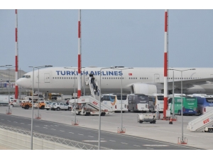 Birleşik Arap Emirlikleri’ndeki Türkler, Yurda Getirildi