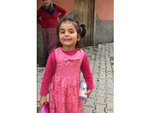 5 Yaşındaki Gülsüm, Jandarma Aracılığıyla Kampanyaya Destek Oldu