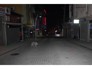 Sokağa Çıkma Kısıtlaması Başladı, Yollar Boş Kaldı