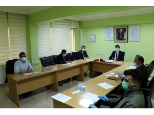 Sokak Hayvanları İçin Beslenme Odağı Oluşturulacak