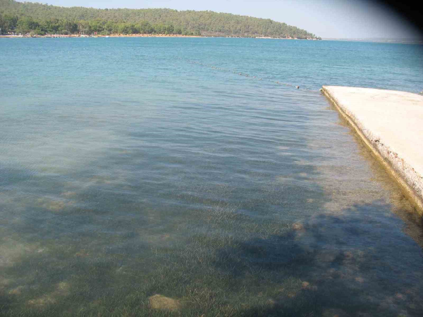 didim-in-deniz-suyu-kalitesi-dikkat-cekti