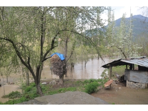 Sağanak Yağış Bahçeleri Su Altında Bıraktı