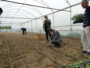 Battalgazi’de Fide Dikimi Yaygınlaştırılıyor