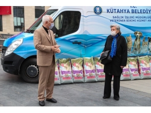 Sokak Hayvanlarına Yiyecek