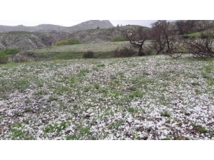 Elazığ’da Misket Büyüklüğünde Dolu Yağdı