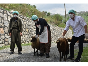 Şırnak’ta İhtiyaç Sahibi Ailelere 8 Ton Et Dağıtılacak
