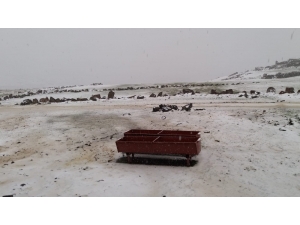 Tuzluca’da Yüksek Kesimler Beyaza Büründü