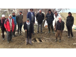 Kazdığı Damdan Ahıra Giren Ayı 20 Koyunu Telef Etti