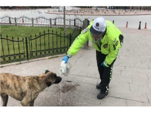 Trafik Polisinin Davranışı Yürekleri Isıttı