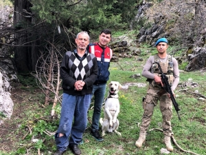 Kaybolan Şizofreni Hastasını İz Arama Köpeği Yastığından Buldu