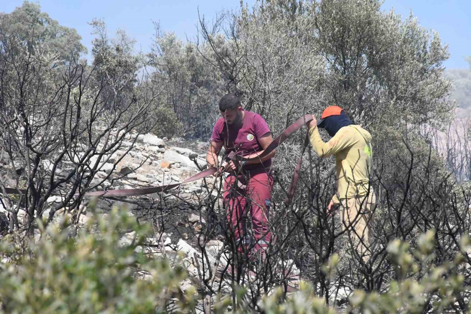 izmir-de-ormanlik-alanda-cikan-yangin-erken-mudahaleyle-kontrol-altinda
