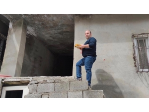 Şırnak’ta Arıcılar İhtiyaç Sahibi Ailelere Bal Dağıttı