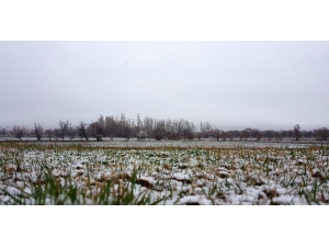 Doğu Anadolu’da Hava Sıcaklığı Mevsim Normallerinin Altına Düştü