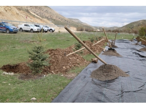 Doğan Her Bebek İçin Bir Fidan Dikilecek