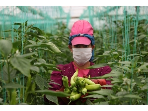 Herkes Evde Onlar Üretimde