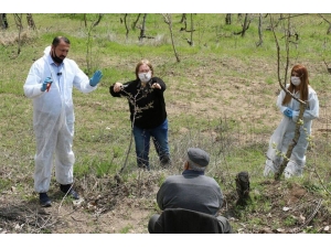 Vefa Ekipleri 80 Yaşındaki Çiftçinin Bahçesinde Budama Yaptı