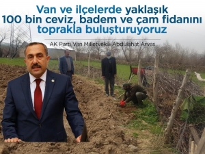 Van Milletvekili Arvas: “Yaklaşık 100 Bin Fidanı Toprakla Buluşturuyoruz”