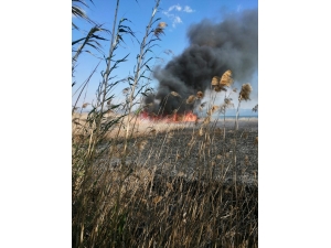 Çöplük Yangını Korkuttu