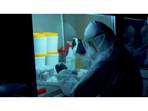 Düzce Üniversitesi’nde Korona Virüs Testleri Yapılıyor