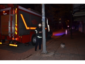 Köz Dolu Teneke Paniği