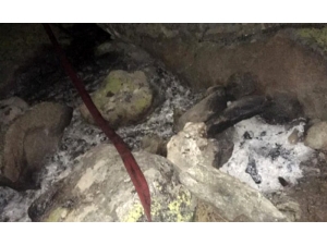 Emet’te Çıkan Yangın Ormana Sıçramadan Söndürüldü