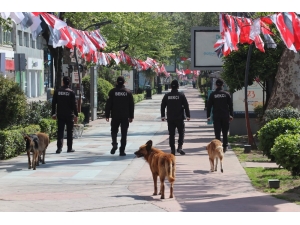 Kısıtlamanın 3. Gününde Kocaeli Sokaklarında Sessizlik Hakim