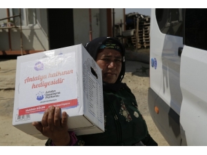 Büyükşehir’den Tarım İşçilerine Destek