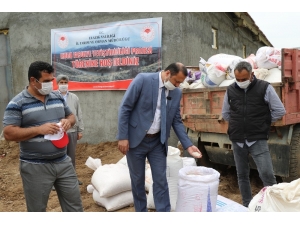 Bermaz Ovası’nda "Gezin Fasulyesi" İçin Tohum Desteği