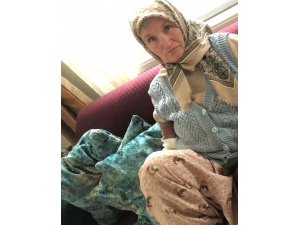 Nallıhan’da Kaybolan Yaşlı Kadın 70 Gündür Bulunamadı