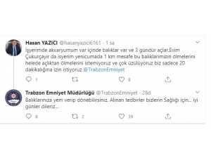 İş Yerinin Akvaryumundaki Balıklarına Yem Vermek İçin Trabzon Emniyeti’nden Yardım İstedi