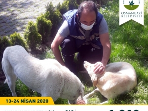 Can Dostlara Osmangazi Şefkati