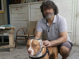 Havlayan Köpekleri Ve Sahibini Bıçakladılar