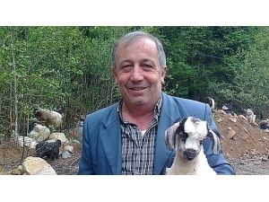 Rize’de Muhtara Silahlı Saldırı