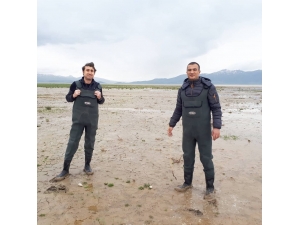 Erçek Gölü’ndeki İnci Kefalleri İçin Önlemler Artırıldı