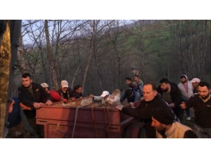 Uçurumdan Yuvarlanan İnek İtfaiye Tarafından Kurtarıldı