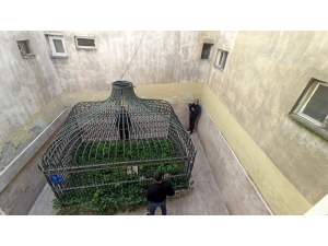 Apartman Boşluğundaki Türbe Görenleri Şaşırtıyor