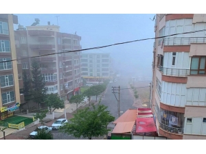 Şanlıurfa’da Boş Cadde Ve Sokakları Sis Kapladı