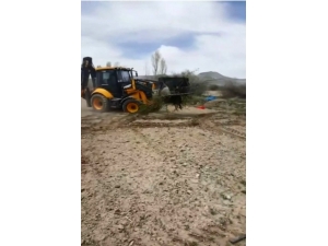 Kayserili Çiftçi 200 Kayısı Ağacını Don Vurunca Söktürdü