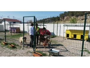 Türkiye’nin Her Yerine Uzanan Dost Eli