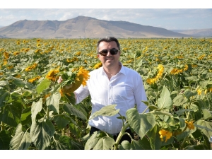 Erzurum’da Çiftçilere Büyük Destek