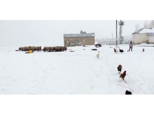 Van’da Nisan Ayında Kar Sürprizi