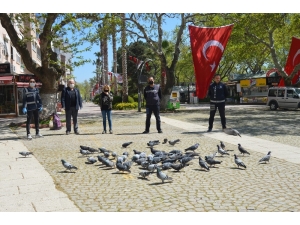 Ünlü Tatil Merkezinde Sokak Hayvanları Aç Kalmasın Diye Çabalıyorlar