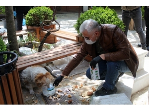 Emniyet Müdürü Aç Kalan Köpekleri Elleriyle Besledi