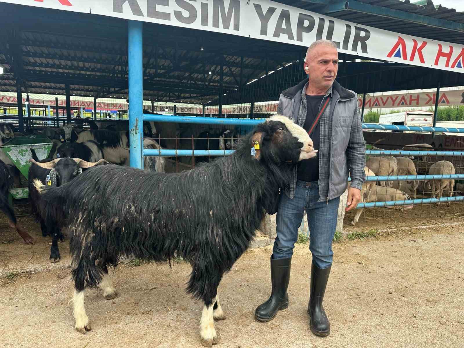 bursa-daki-kurban-pazarinin-sampiyon-kecisi-47-bin-liradan-satildi