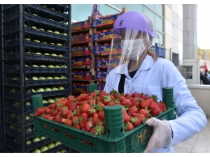 Aliağa, Online Alışverişi Sevdi