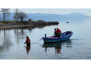 İznik Gölünde Gümüş Balığı Bereketi