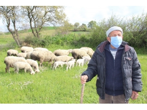 Korona Virüse İnat Bu Köyde Tarım Ve Hayvancılık Sürüyor